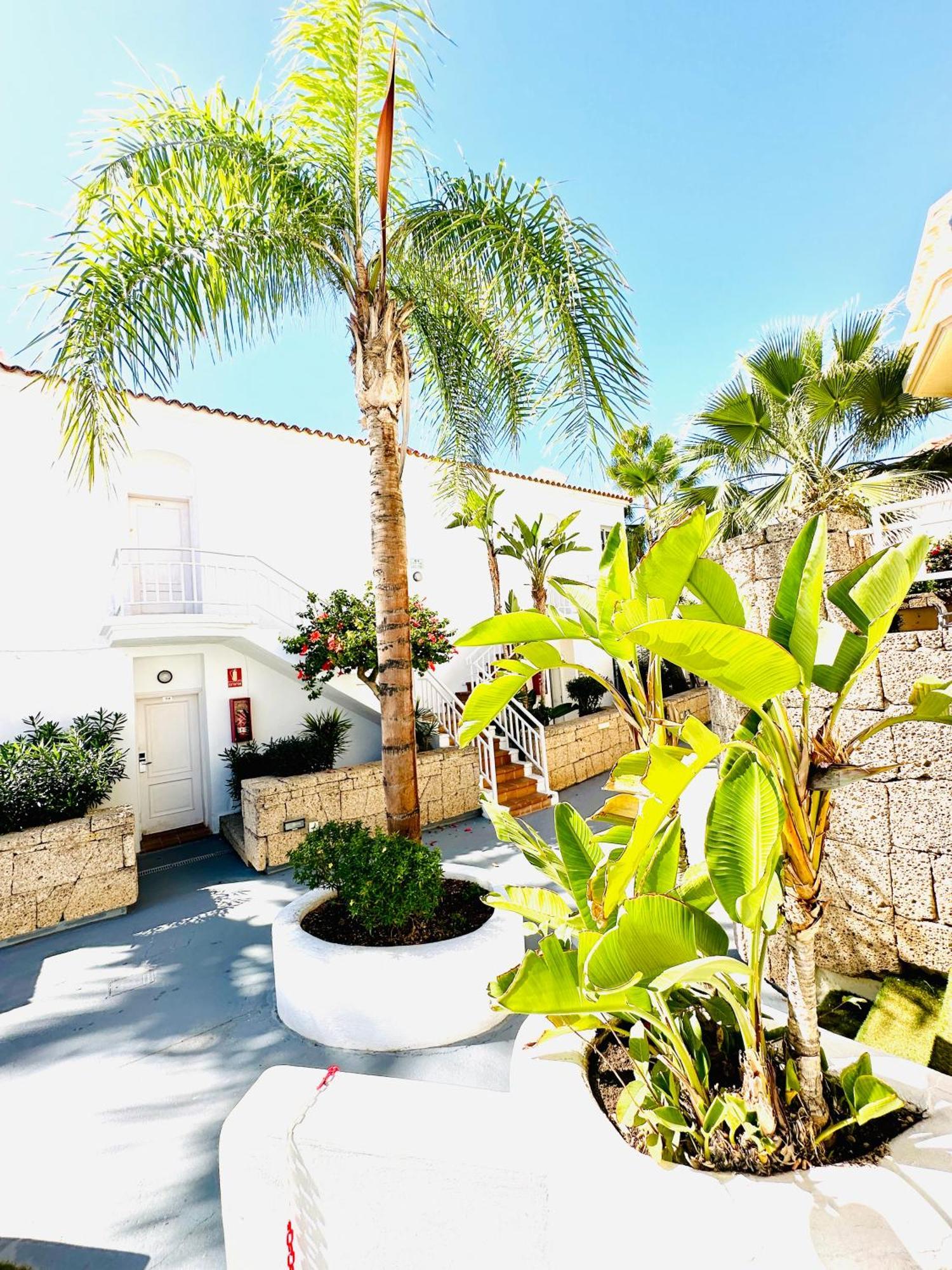 Luxury Villa Fanabe With Private Garden Costa Adeje  Εξωτερικό φωτογραφία